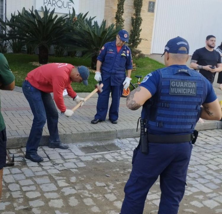 Cachorra é resgatada de bueiro em Blumenau
