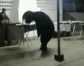 Urso entra de penetra em churrasco