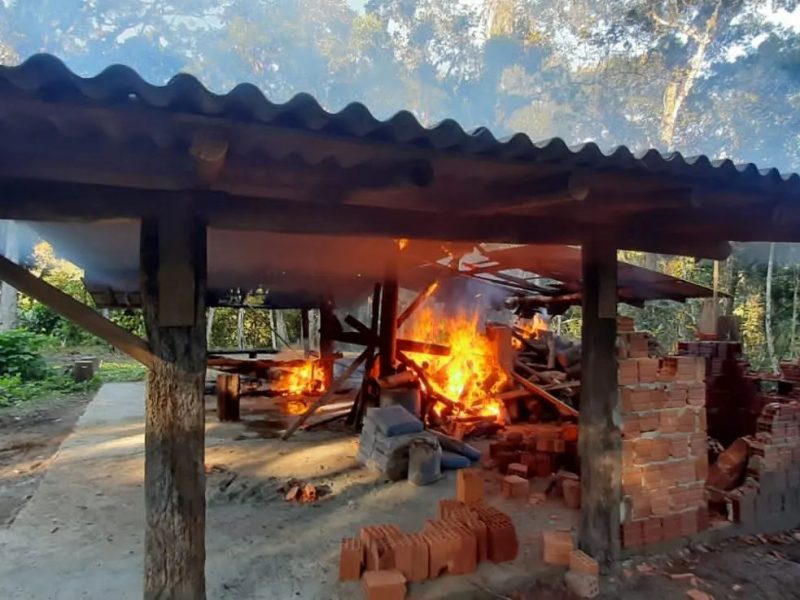 Rancho usado como ponto de apoio para ca&ccedil;a ilegal foi destru&iacute;do pelos policiais – Foto: Pol&iacute;cia Militar Ambiental/Reprodu&ccedil;&atilde;o/ND