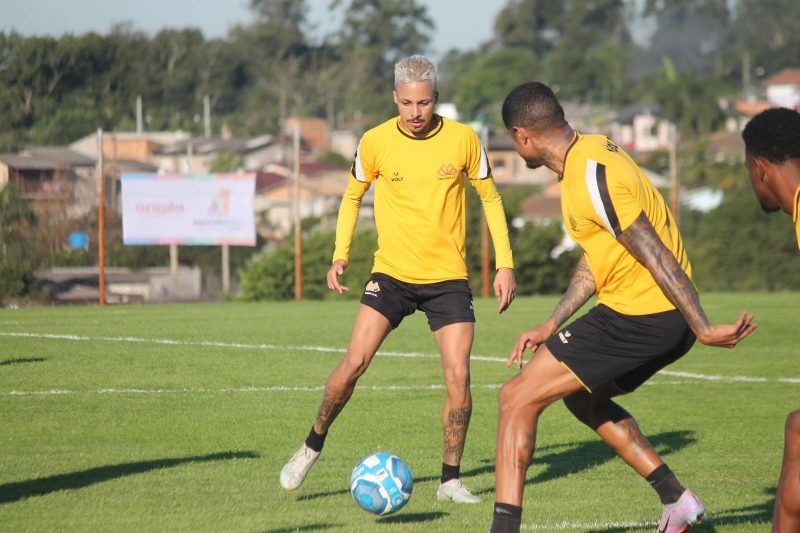 Criciúma recebe o CRB no Heriberto Hülse 