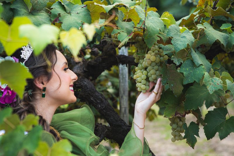 Urussanga &eacute; a cidade que concentra maior n&uacute;mero de vinhedos e vin&iacute;colas abertas &agrave; visita&ccedil;&atilde;o nos Vales da Uva Goethe – Foto: Felipe Carneiro/Sebrae Urussanga/Divulga&ccedil;&atilde;o