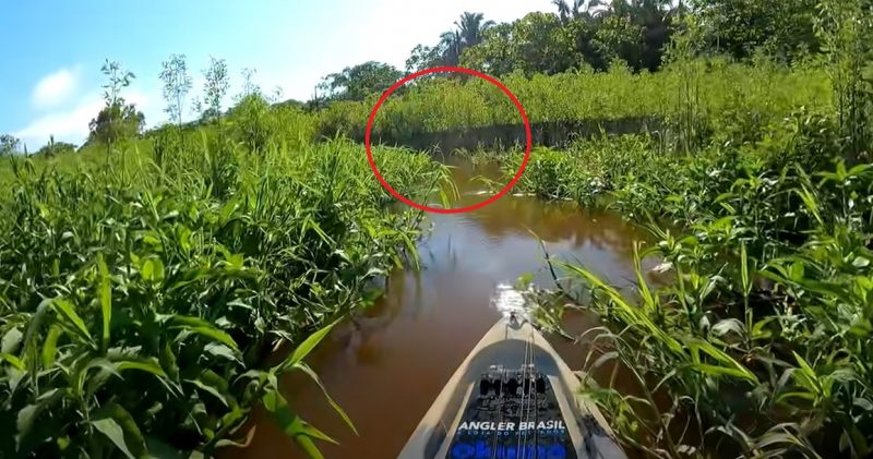 pescador remou para algo desconhecido
