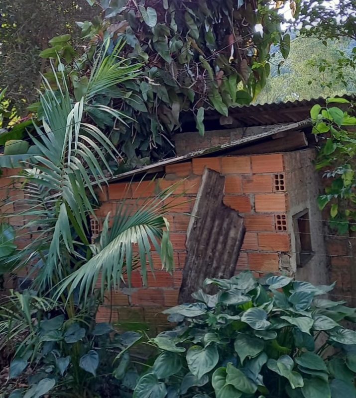 Desobstru&ccedil;&atilde;o de locais atingidos no sul, devido aos fortes ventos. – Foto: Corpo de Bombeiros Militar