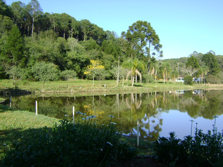 Florestas de SC que serão concedidas à iniciativa privada têm área de 4 mil campos de futebol