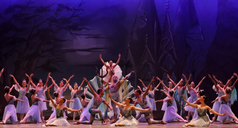 Festival de Dança em Joinville 