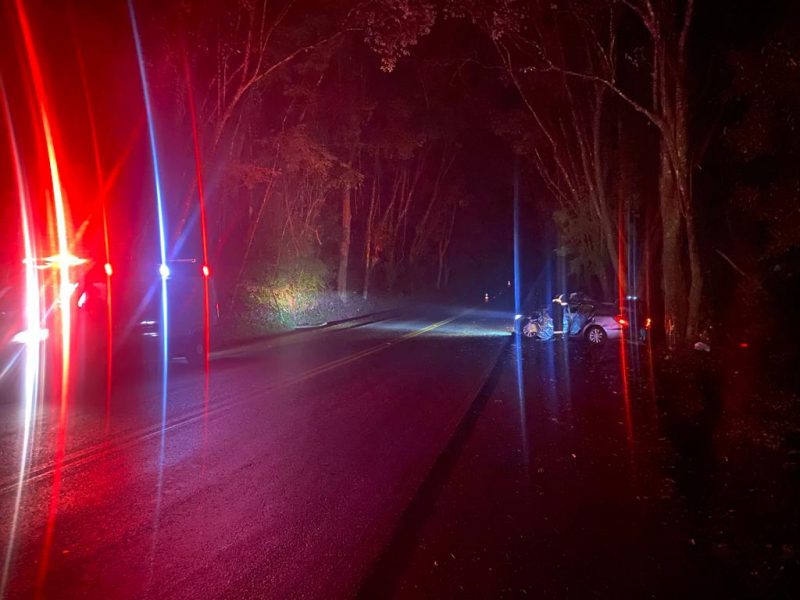 Após bater em uma árvore, o motorista morreu. 