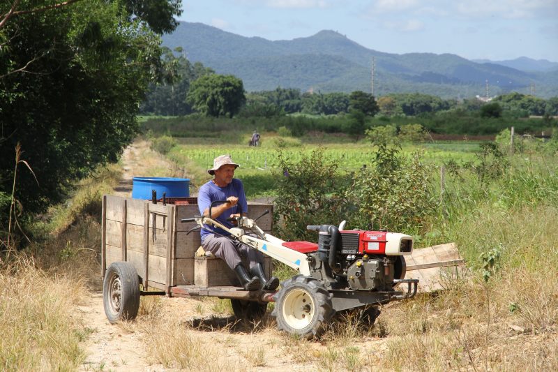 Selo deve refor&ccedil;ar qualidade e impulsionar economia local, al&eacute;m de preservar a cultura local – Foto: Marcos Porto/Prefeitura de Itaja&iacute;/Divulga&ccedil;&atilde;o/ND