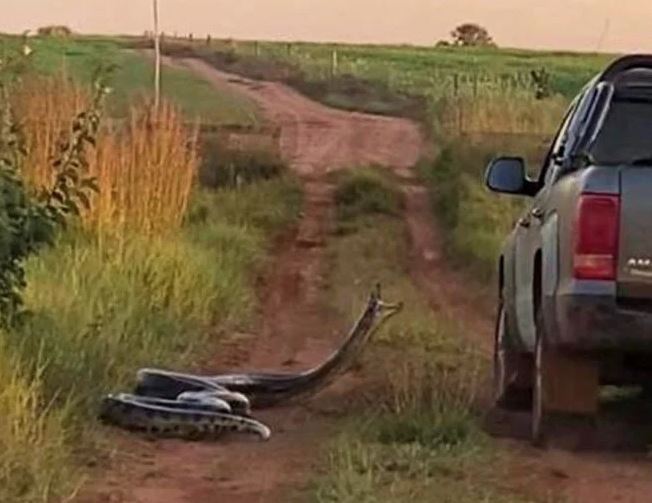 Momento do bote por outro &acirc;ngulo – Foto: Governo MS/Divulga&ccedil;&atilde;o/ND