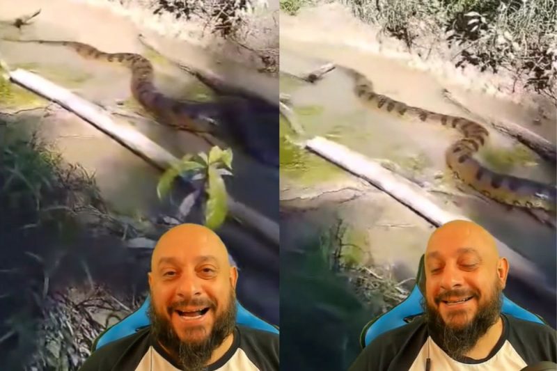 Sucuri surpreendeu pelo tamanho – Foto: Reprodu&ccedil;&atilde;o/Redes Sociais/ND