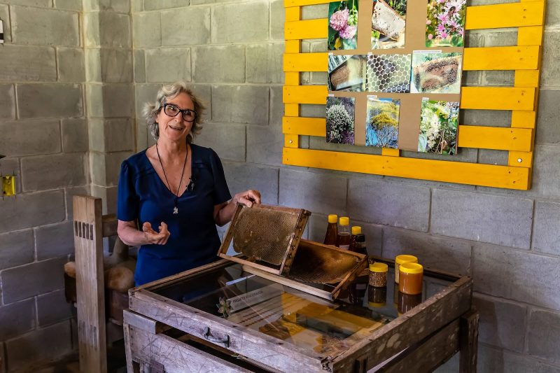 A apicultora Ilse Pabst mostrando equipamentos da atividade da agricultora familiar em Joinville – Foto: Mtur/Divulga&ccedil;&atilde;o