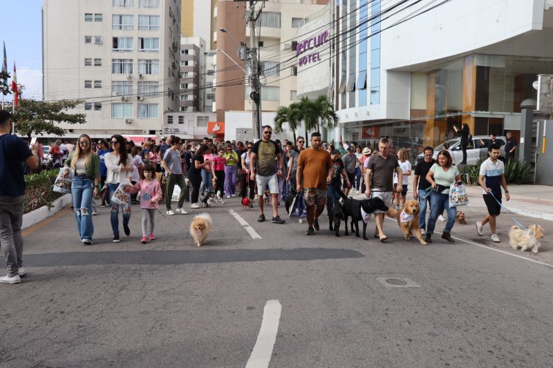 Cãominhada é adiada por conta do mau tempo