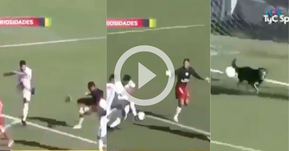 VÍDEO: Amistoso na Espanha tem goleiro jogando de atacante e
