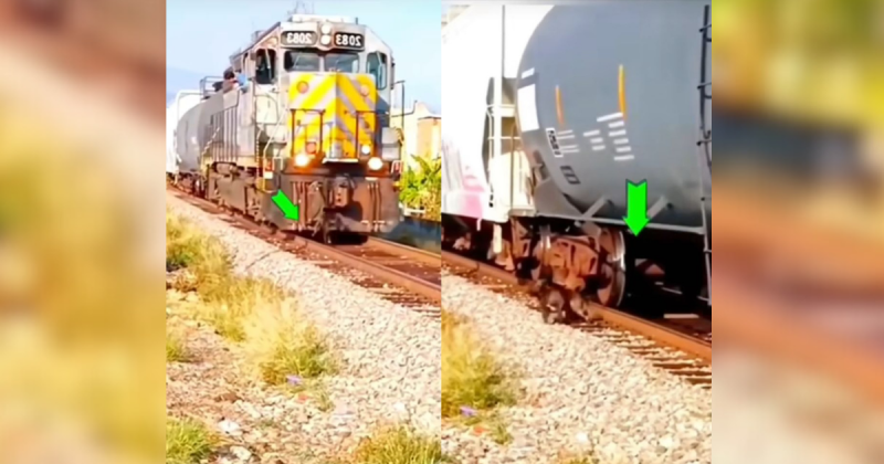 C&atilde;o se salva de atropelamento e imagem impressiona – Foto: Montagem/ND