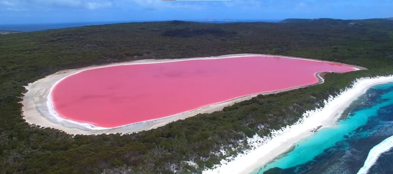 Lagos cor-de-rosa viralizam às vésperas de Barbie