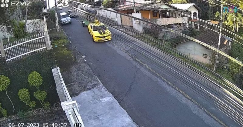 Elefante é transportado por camaro amarelo em Blumenau