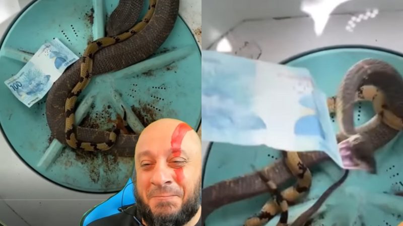 Cobras no tanque com R$ 100