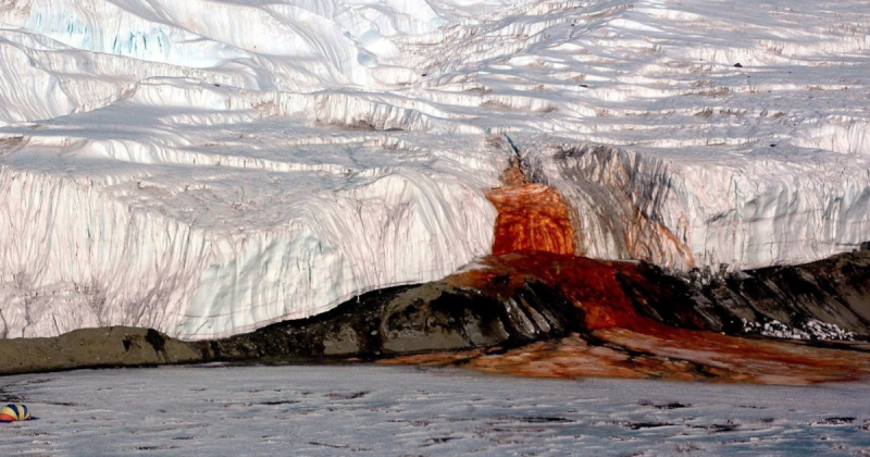 Cachoeiras de Sangue foram solucionadas por novo estudo na Antártida 