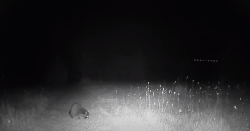 OVNI do Canadá levantou diversas especulações nas últimas semana pela internet e já foi categorizado como um dos vídeos mais nítidos do fenômeno UFO