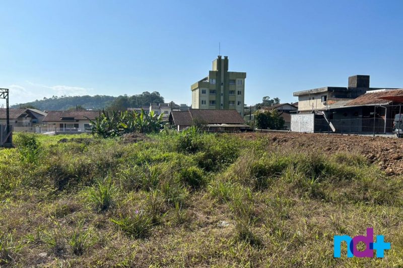 Corpo foi encontrado no bairro Parque Guarani – Foto: Felipe Bambace/NDTV