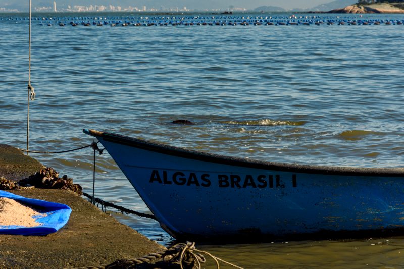 A capital catarinense oferece uma ampla variedade de pratos &agrave; base de frutos do mar – Foto: Mariana Eli
