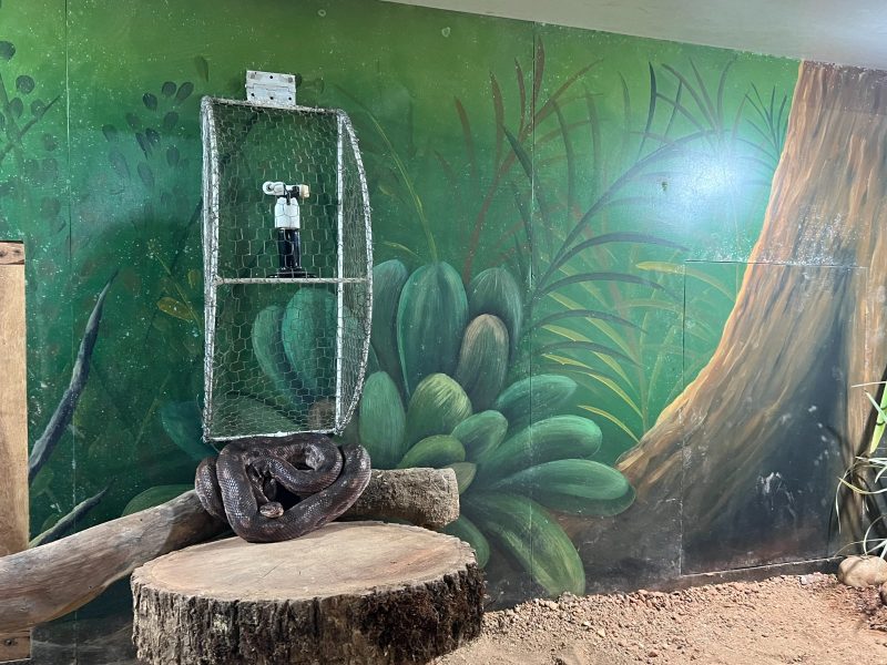 Serpent&aacute;rio recebeu l&acirc;mpadas e pedras aquecedoras – Foto: Secom Brusque/Reprodu&ccedil;&atilde;o