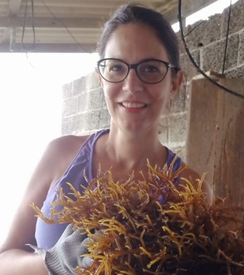 A maricultora Tatiana produz macroalgas para alimenta&ccedil;&atilde;o – Foto: Epagri/ND