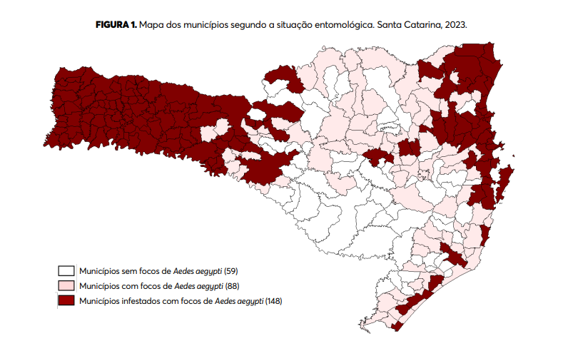 Joinville lidera o número de casos de dengue em SC. – Foto: Dive/Divulgação/ND