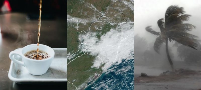 El Niño pode afetar no preço do café em todo o país 