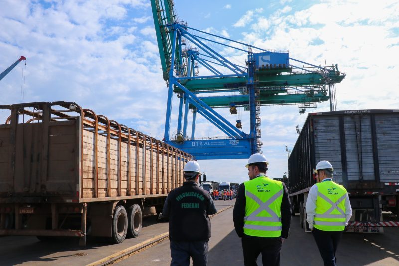 A última exportação de carga viva havia ocorrido em novembro de 2019 – Foto: SCPAR Porto de Imbituba/Divulgação/ND