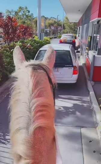 Mulher vai montada em cavalo em drive-thru de lanchonete 