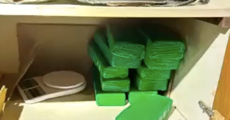 Maconha foi encontrada em armário