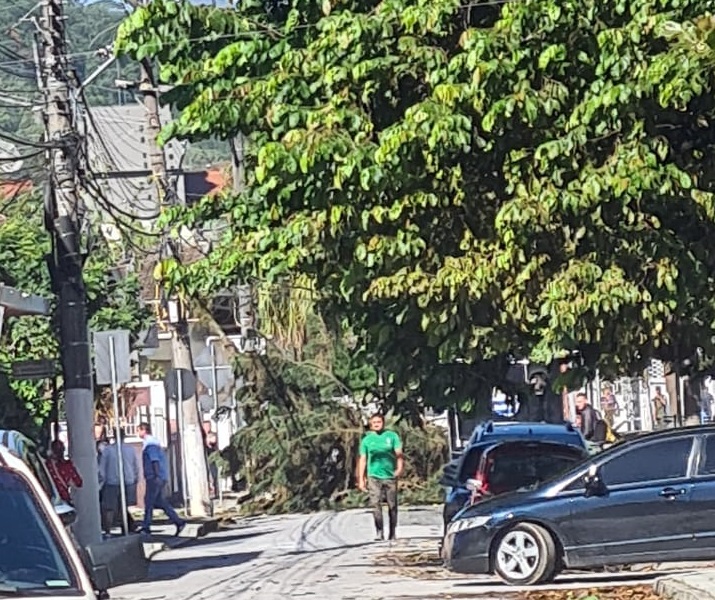 FOTOS: vento provoca queda de árvores, falta de energia elétrica e