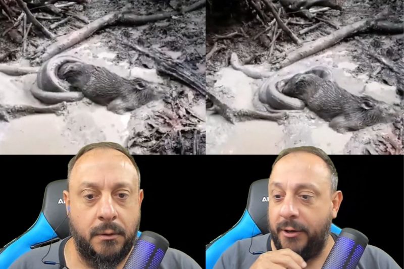 Registro &eacute; considerado raro, diz bi&oacute;logo – Foto: Reprodu&ccedil;&atilde;o/Redes Sociais/ND