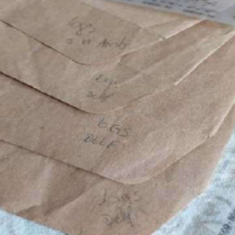 Gerente da Serrana afirma que letra de envelope encontrado em cada de ex-secret&aacute;rio &eacute; dela – Foto: Divulga&ccedil;&atilde;o/ND