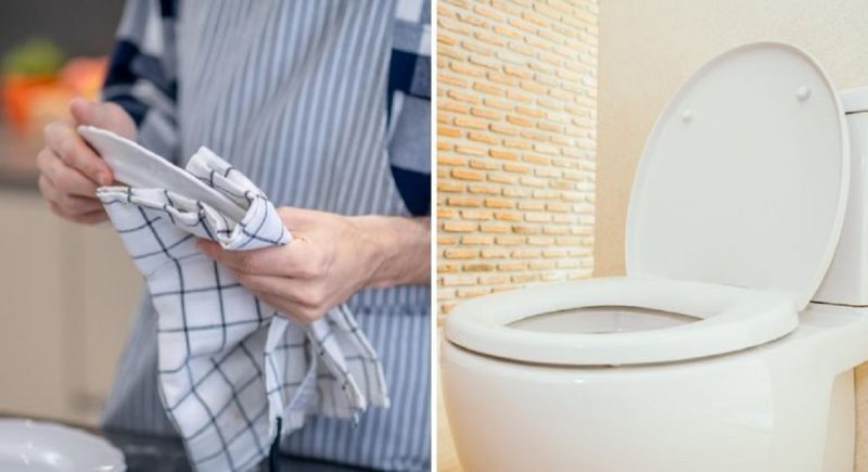 Bactérias que estão em vasos sanitários foram encontradas em panos de secar louça