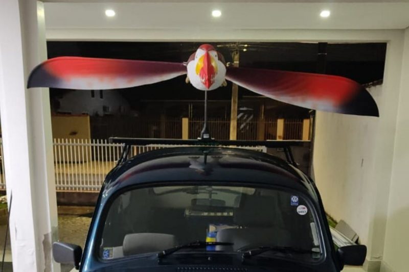 R&eacute;plica de pterossauro criada por pai e filho – Foto: Acervo pessoal/Reprodu&ccedil;&atilde;o/ND