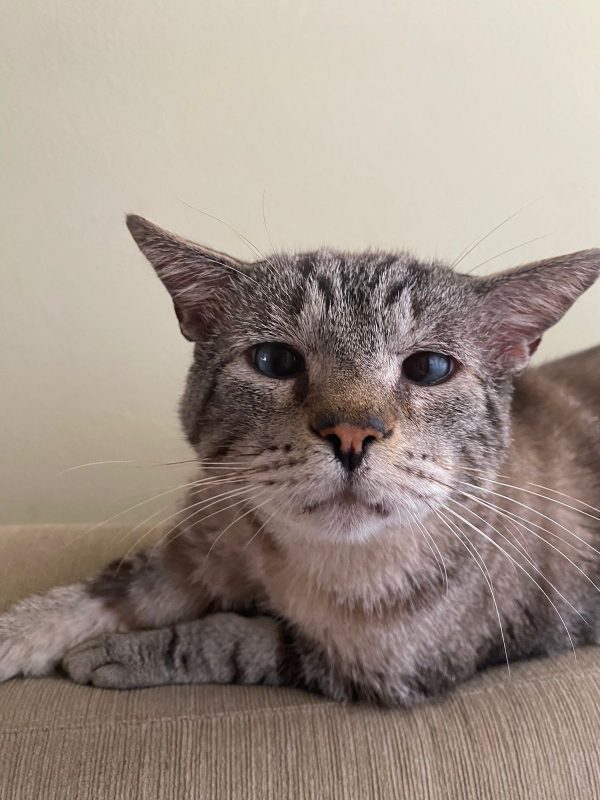 Gabriel Jesus pediu ajuda para as mulheres que costumavam aliment&aacute;-lo&nbsp; – Foto: Arquivo pessoal/Divulga&ccedil;&atilde;o ND