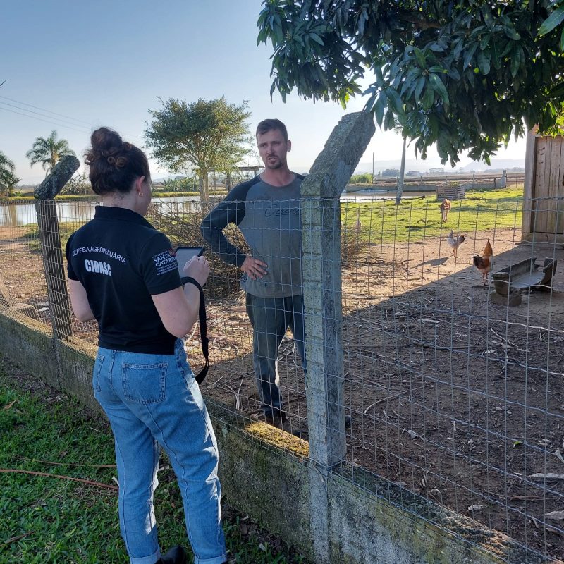 Propriet&aacute;rio devem ser &aacute;geis em notificar suspeitas &agrave; Companhia – Foto: Cidasc/Divulga&ccedil;&atilde;o/ND