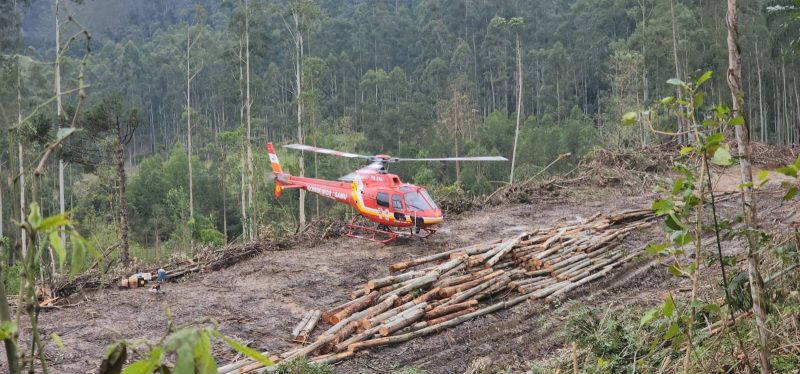 Homem realizava o corte de árvores em uma propriedade da cidade quando foi atingido pela árvore 