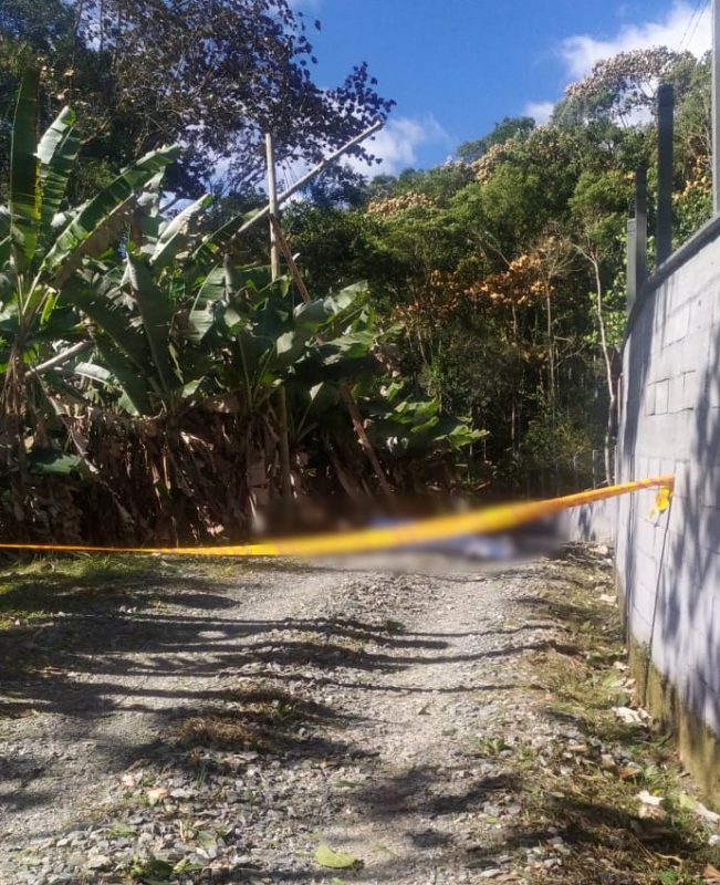 Trabalhador morre atingido por &aacute;rvore que caiu em Brusque – Foto: Corpo de Bombeiros Militar/Reprodu&ccedil;&atilde;o/ND