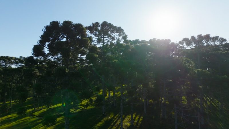 A cidade surpreende com seus recantos naturais, montanhas e trilhas ecol&oacute;gicas – Foto: Tr&ecirc;s Oitavos Filmes
