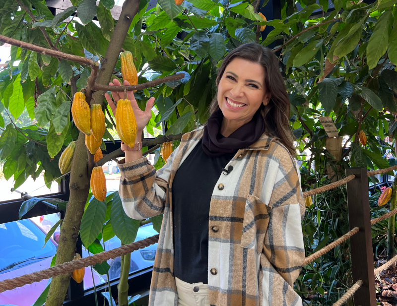 Foto: Destino SC Inverno/Divulga&ccedil;&atilde;o