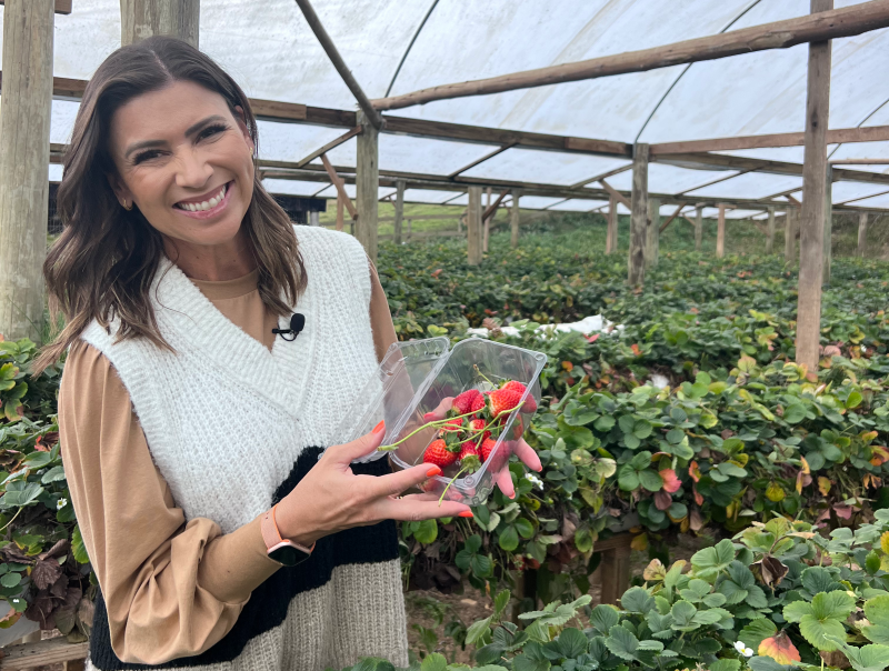 Foto: Destino SC Inverno/Divulga&ccedil;&atilde;o