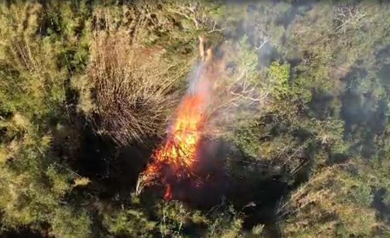 Incêndio atinge mata entre Lagoinha do Leste e Pântano do Sul em Florianópolis