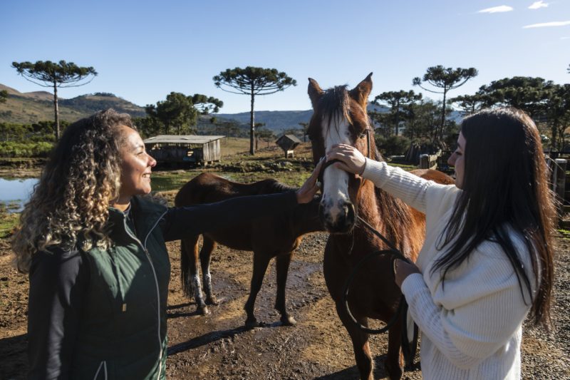Est&aacute; cientificamente comprovado que estar em contato com a terra e com os animais, em meio &agrave; natureza, ajuda no desenvolvimento f&iacute;sico, emocional, social e cognitivo – Foto: Divulga&ccedil;&atilde;o
