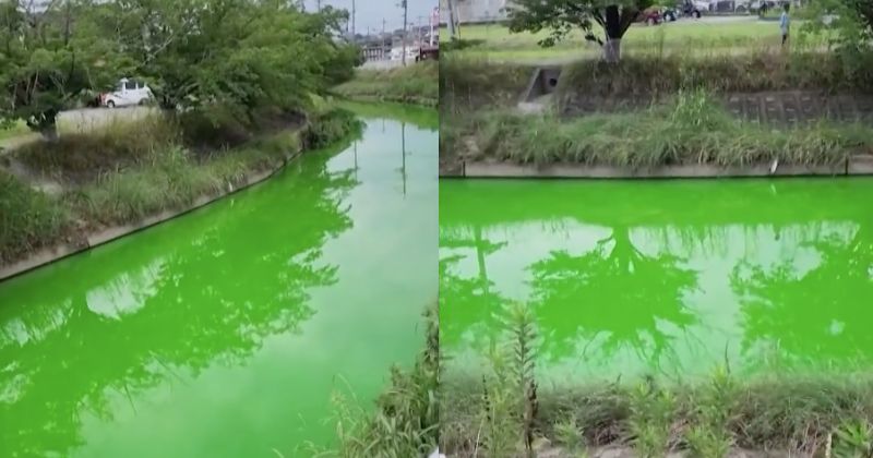 Verde fluorescente no rio chamou atenção
