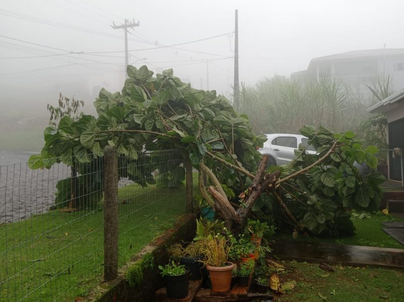 O município de Saudades foi atingido por uma tempestade durante a madrugada de terça-feira. Cerca de 30 casas ficam destelhadas. &#8211; Foto: Lucas Polak/NDTV