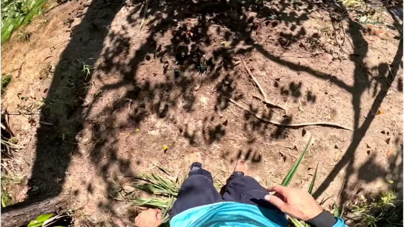 Primeira impress&atilde;o com o cheiro de carni&ccedil;a &eacute; de que havia algum animal enterrado no local – Foto: Reprodu&ccedil;&atilde;o