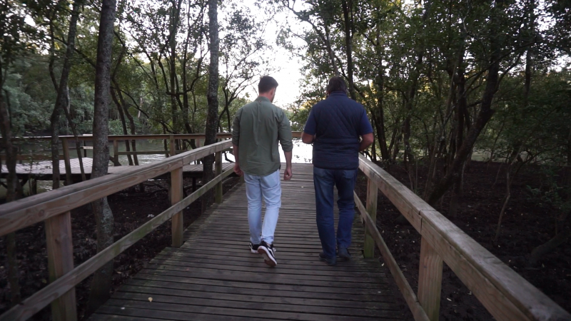 Mangue do Itacorubi fica em Florianópolis e é o segundo maior mangue urbano do Brasil