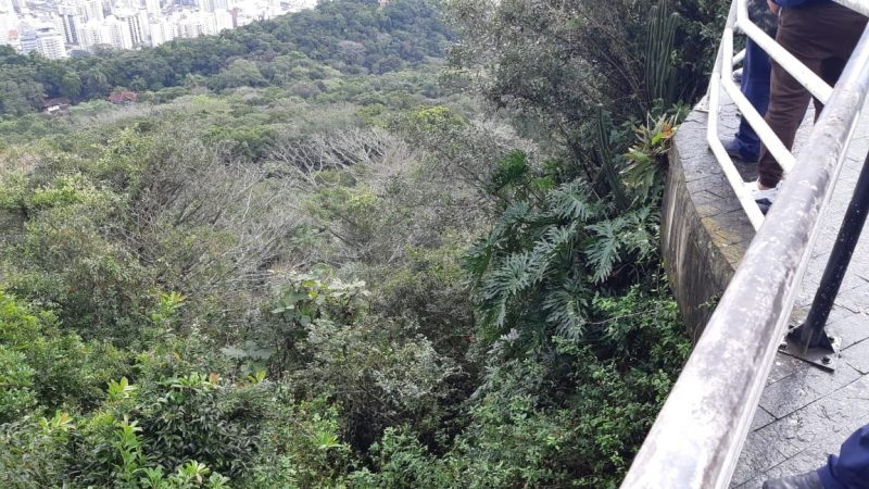 V&iacute;tima caiu no matagal – Foto: Valeska Loureiro/ND